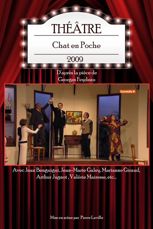 Chat en Poche (2009) poster