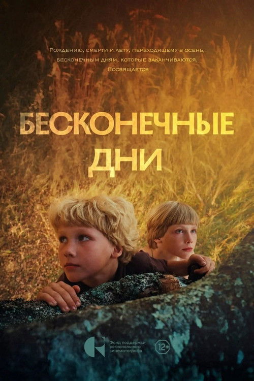 Бесконечные дни (2025) poster