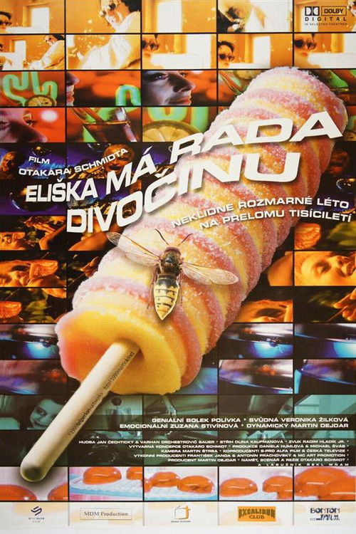 Eliška Likes It Hot (1999) poster