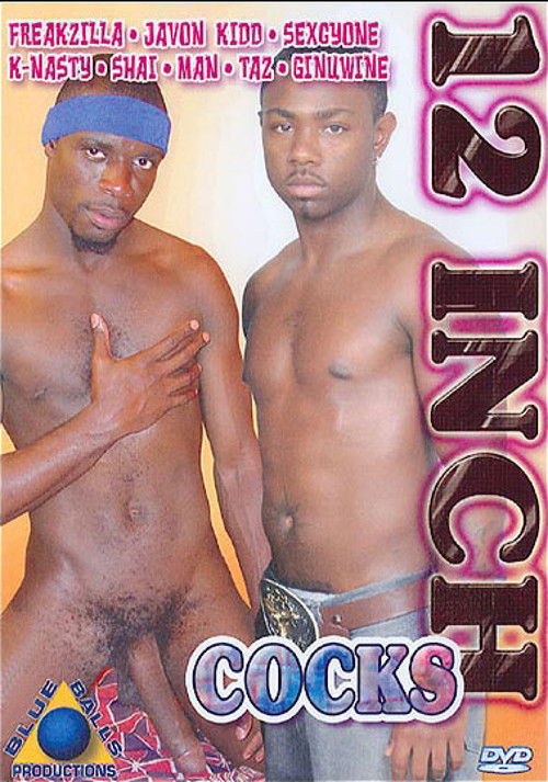 12 Inch Cocks (2009) poster