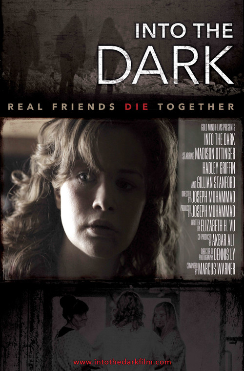 Into The Dark poster
