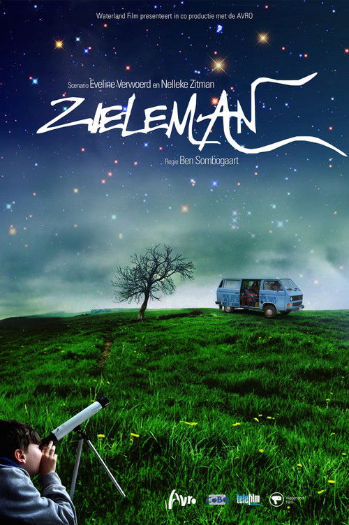 Zieleman (2011) poster