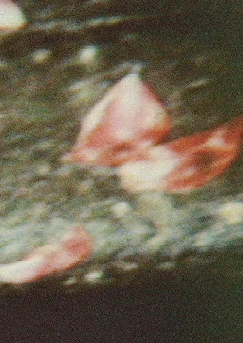 私小説1 (1987) poster