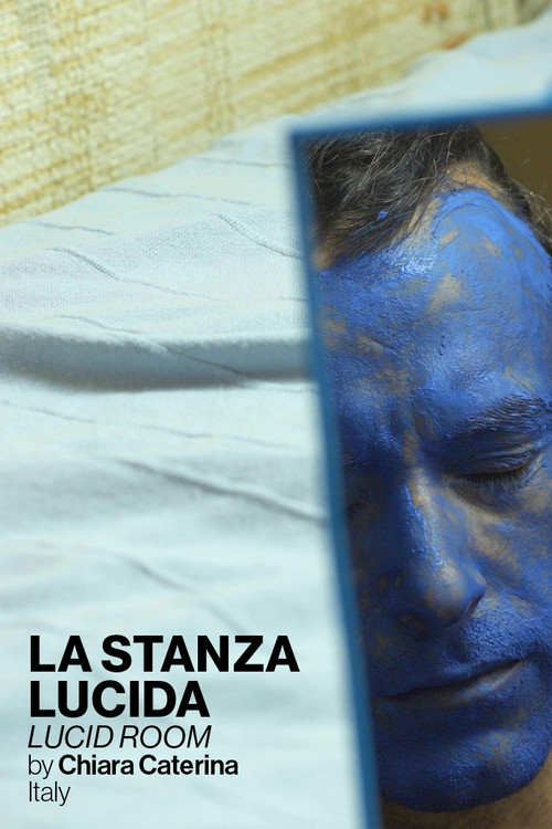 Lucid Room (2022) poster