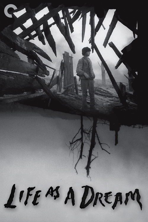 Life as a Dream (2007) poster