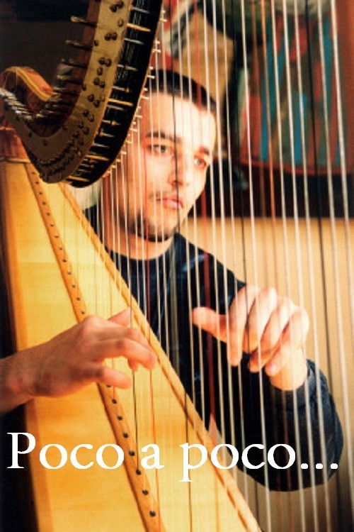 Poco a poco (2001) poster