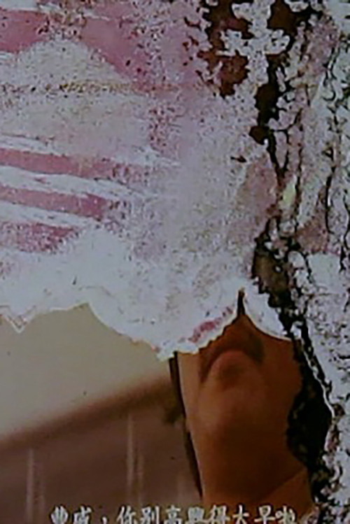 End Reel (2014) poster