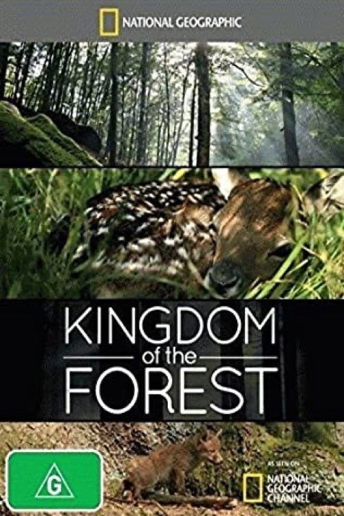 Kingdom of the Forest (2011) poster