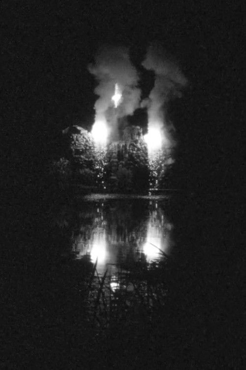 Vesuvius in Germany (2019) poster