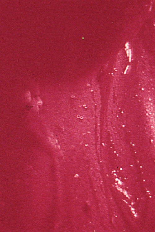 Lovemaking (1971) poster