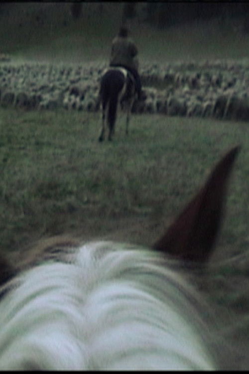 Bedding Down (2012) poster