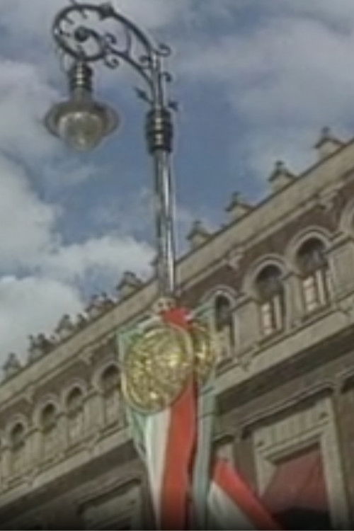 La última década del siglo XX (1990-1999) (2001) poster