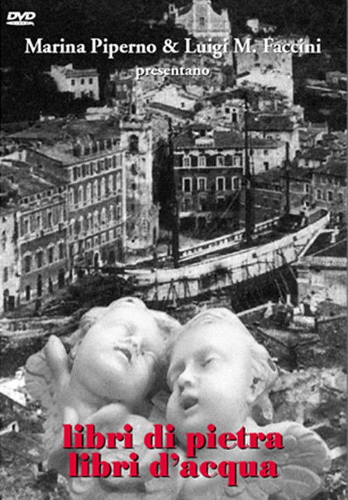 Libri di pietra libri d'acqua (2009) poster