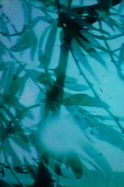 sisyphus (2005) poster