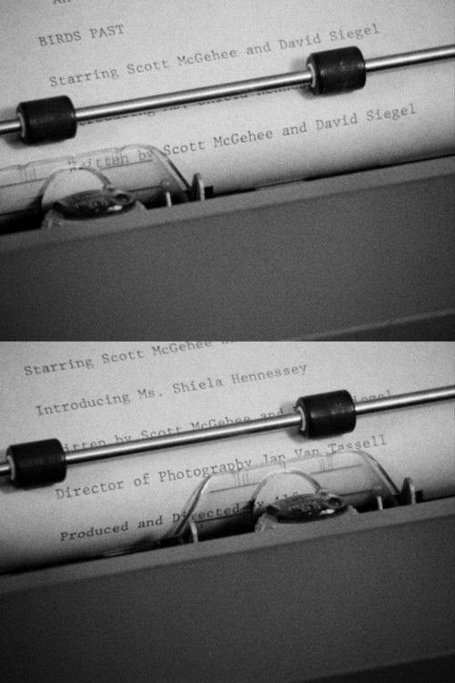 Birds Past (1989) poster