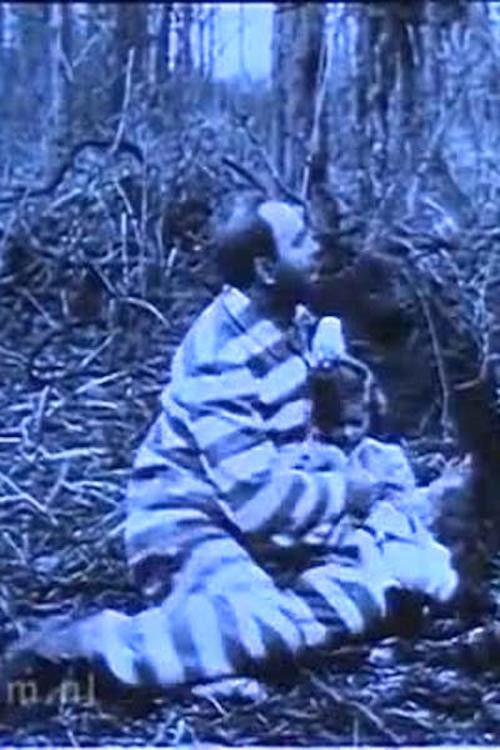 In Northern Forests (1911) poster