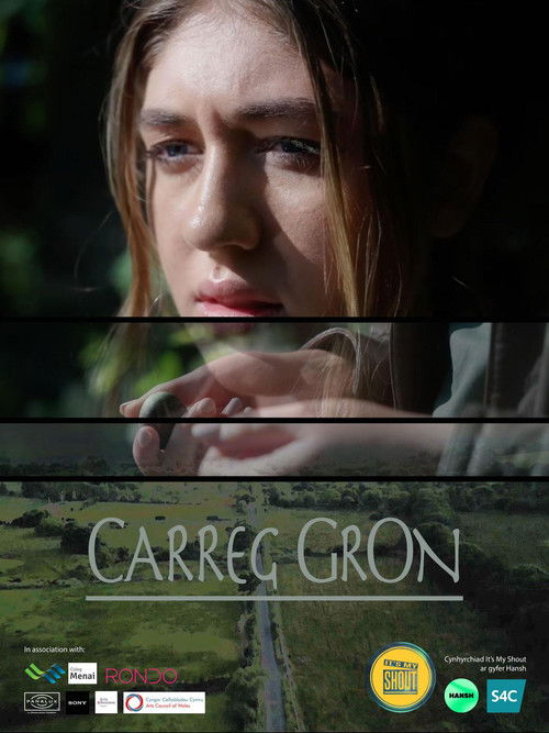 Carreg Gron (2023) poster