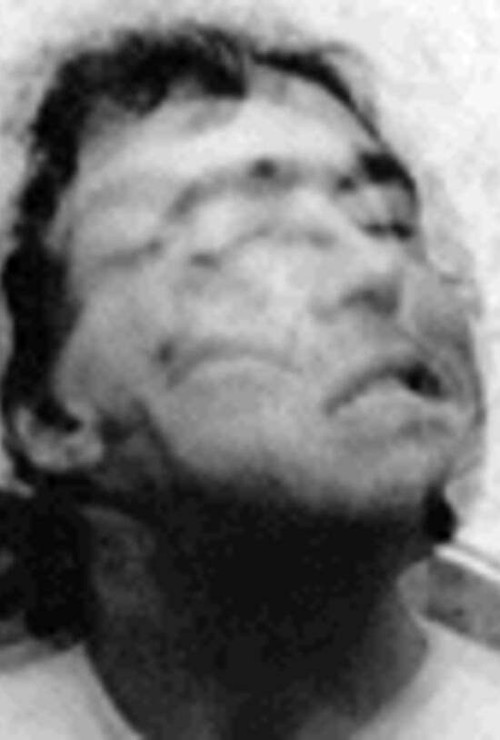 Twitch and Shout (1995) poster