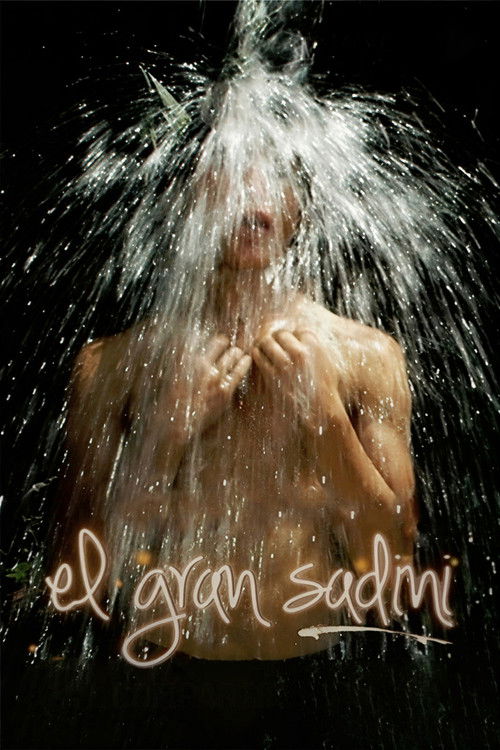 El gran Sadini (2012) poster