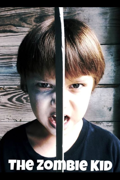 Zombie Kid (2016) poster