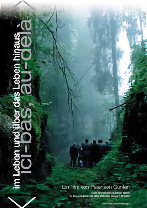 Im Leben und über das Leben hinaus (2005) poster