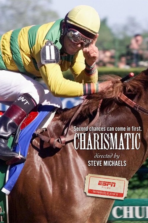 Charismatic (2011) poster