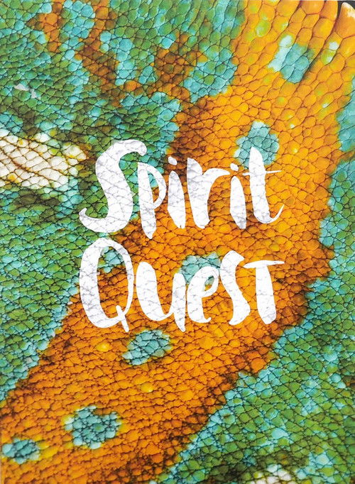 Spirit Quest (2016) poster