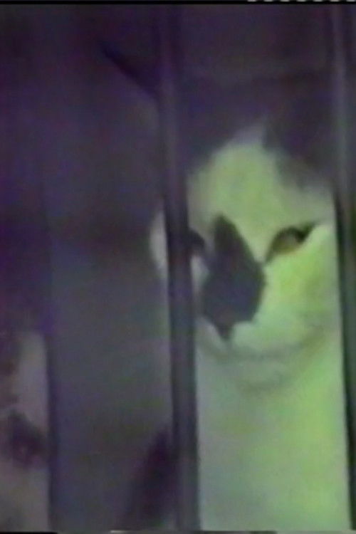 Rush - Voyage à Moscou (1990) poster