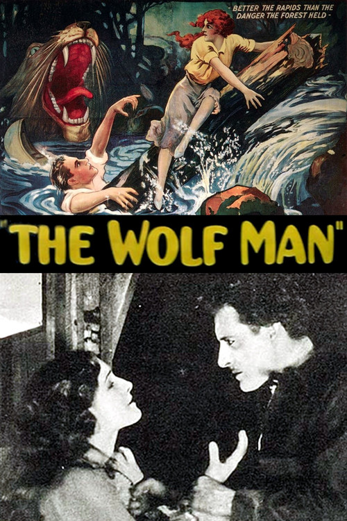 The Wolf Man (1924) poster