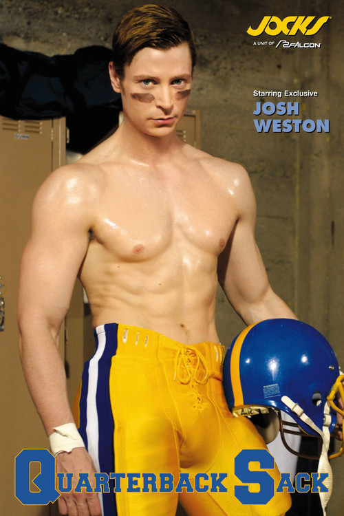 Quarterback Sack (2003) poster