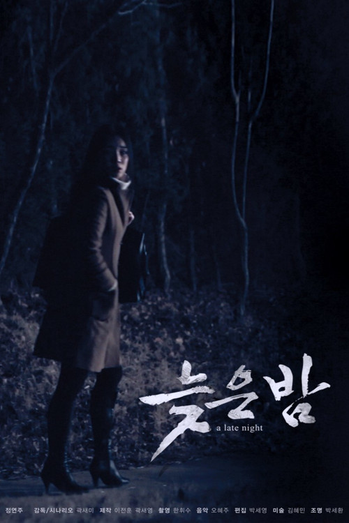 A Late Night (2012) poster