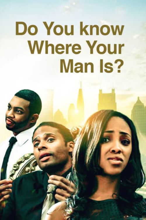 Do You Know Where Your Man Is (2013) poster