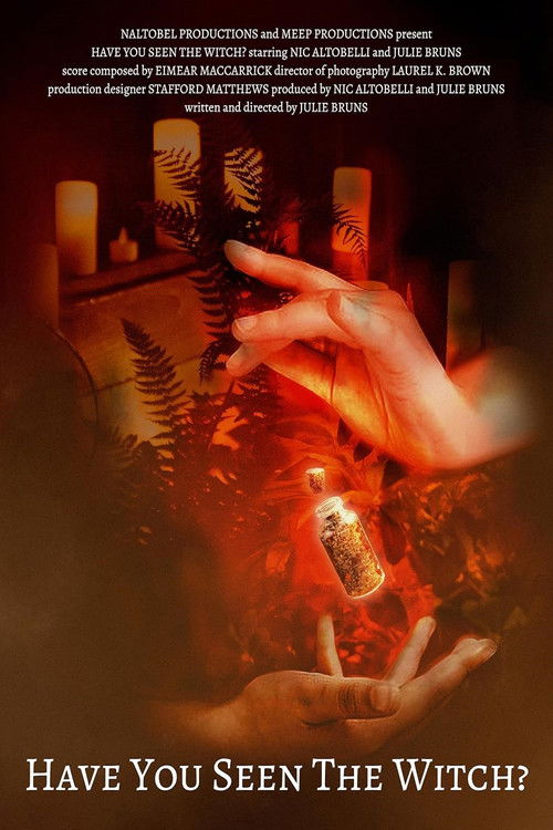 Have You Seen the Witch? poster