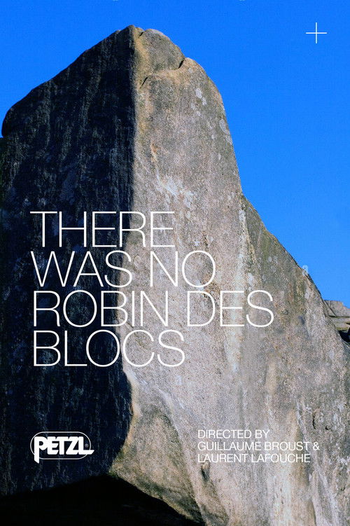 There Was No Robin des Blocs (2011) poster