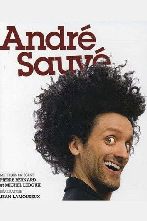André Sauvé (2011) poster