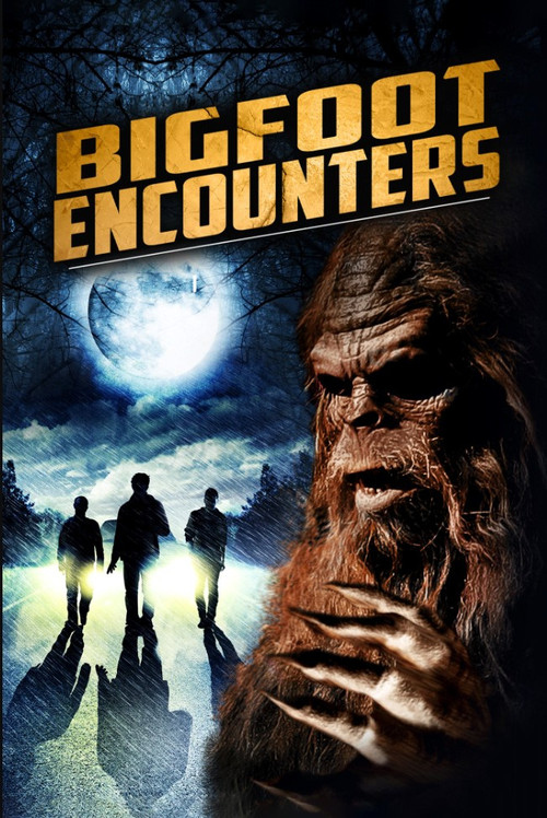Bigfoot Encounters (2018) poster