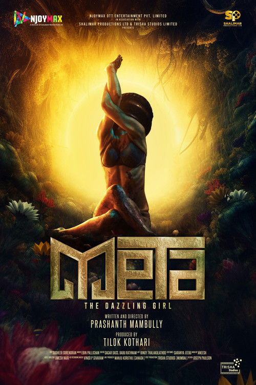 Meta: The Dazzling Girl (2025) poster