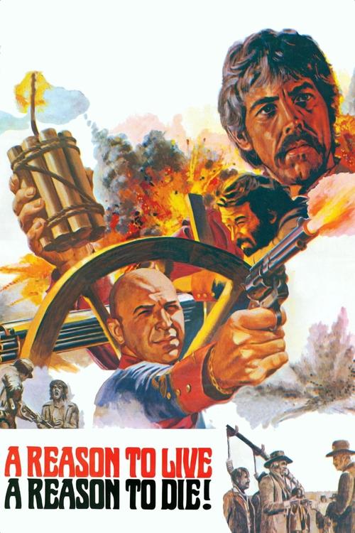 Yaşama Nedeni (1972) poster