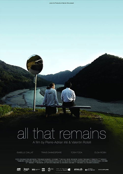 All That Remains (2011) poster