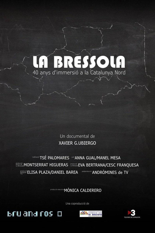 La Bressola. 40 anys d'immersió a la Catalunya Nord (2019) poster