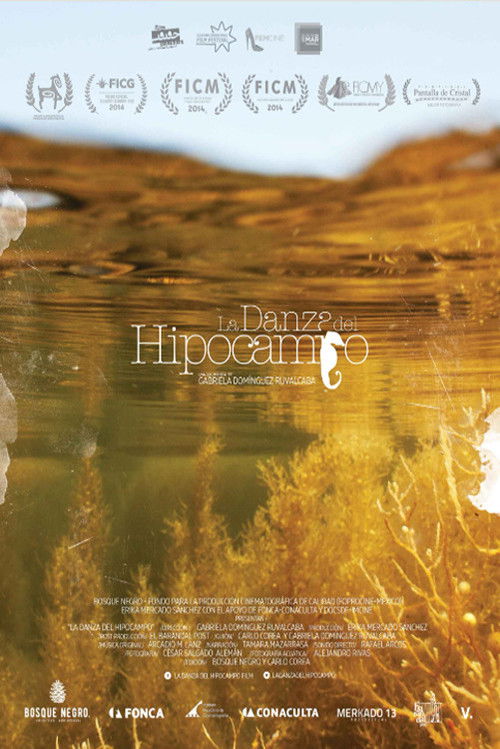 The Dance of Memory (2014) poster