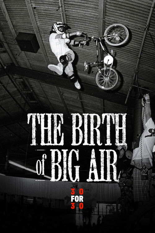 The Birth of Big Air (2010) poster