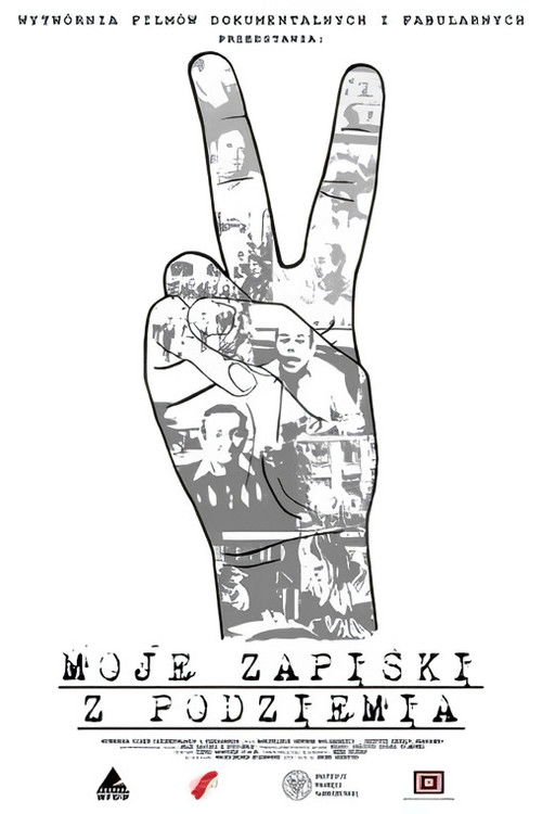 My Notes from the Underground (2011) poster