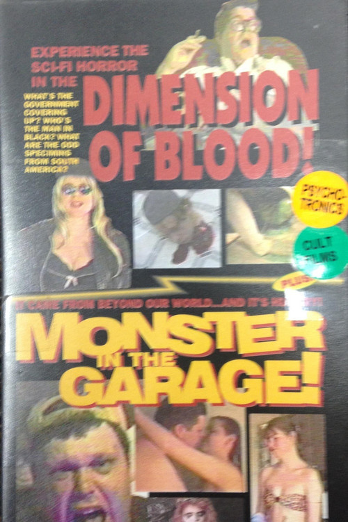 Dimension of Blood (1996) poster