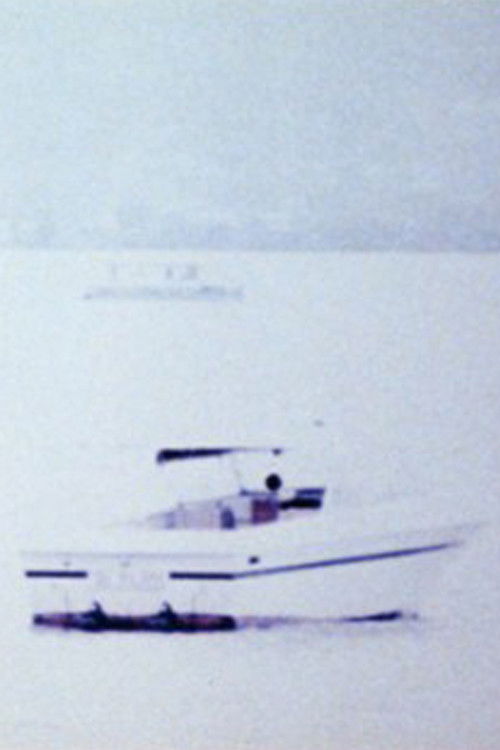 River Ghost. Hudson River Diary Book: IV (1973) poster