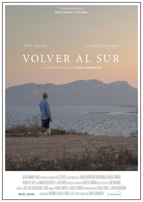 Volver al sur (2021) poster