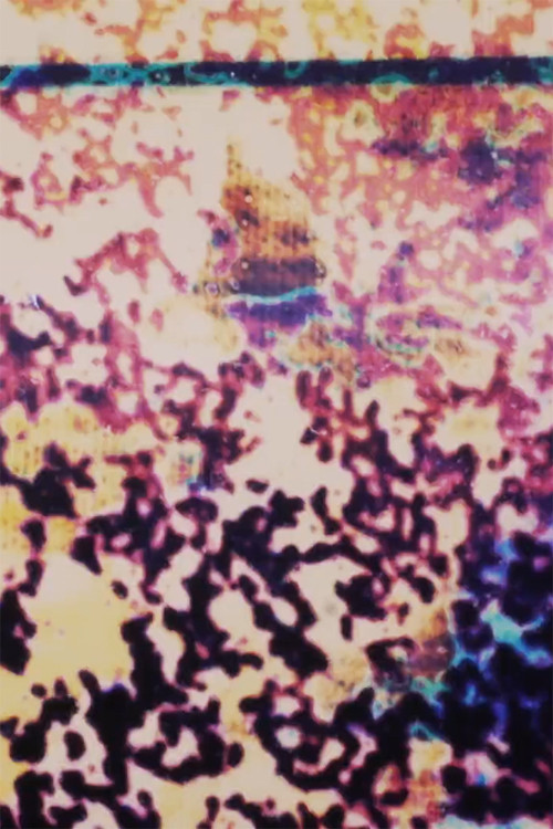 Schists 2023 (2023) poster