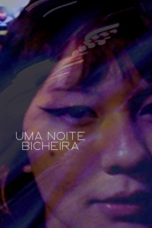 Uma Noite Bicheira (2024) poster