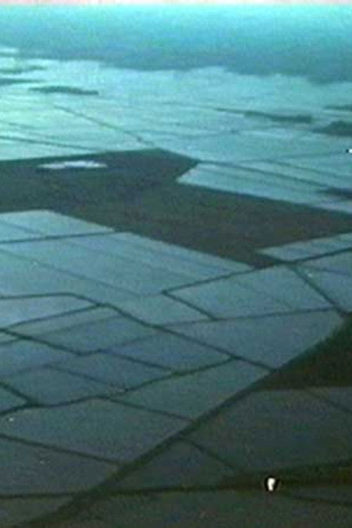 The Looney Plunger (The 500 Meter Loop) (2000) poster