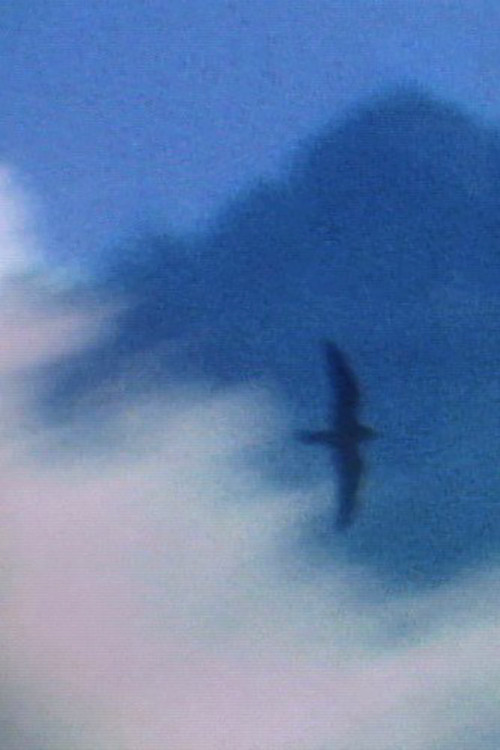 Morning (2011) poster